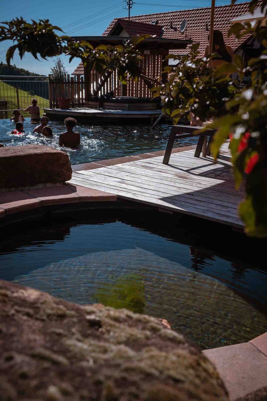 Familie planscht gemeinsam im Naturpool am Grub-Daniel-Hof