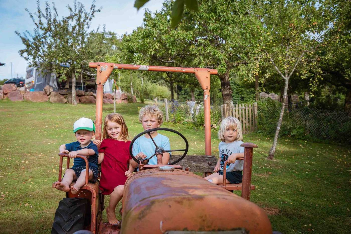Vier Kinder auf dem alten Traktor am Grub-Daniel-Hof