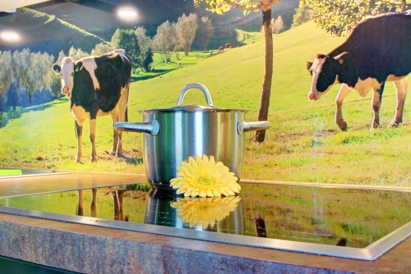Einbauküche der Ferienwohnung Gänseblümchen