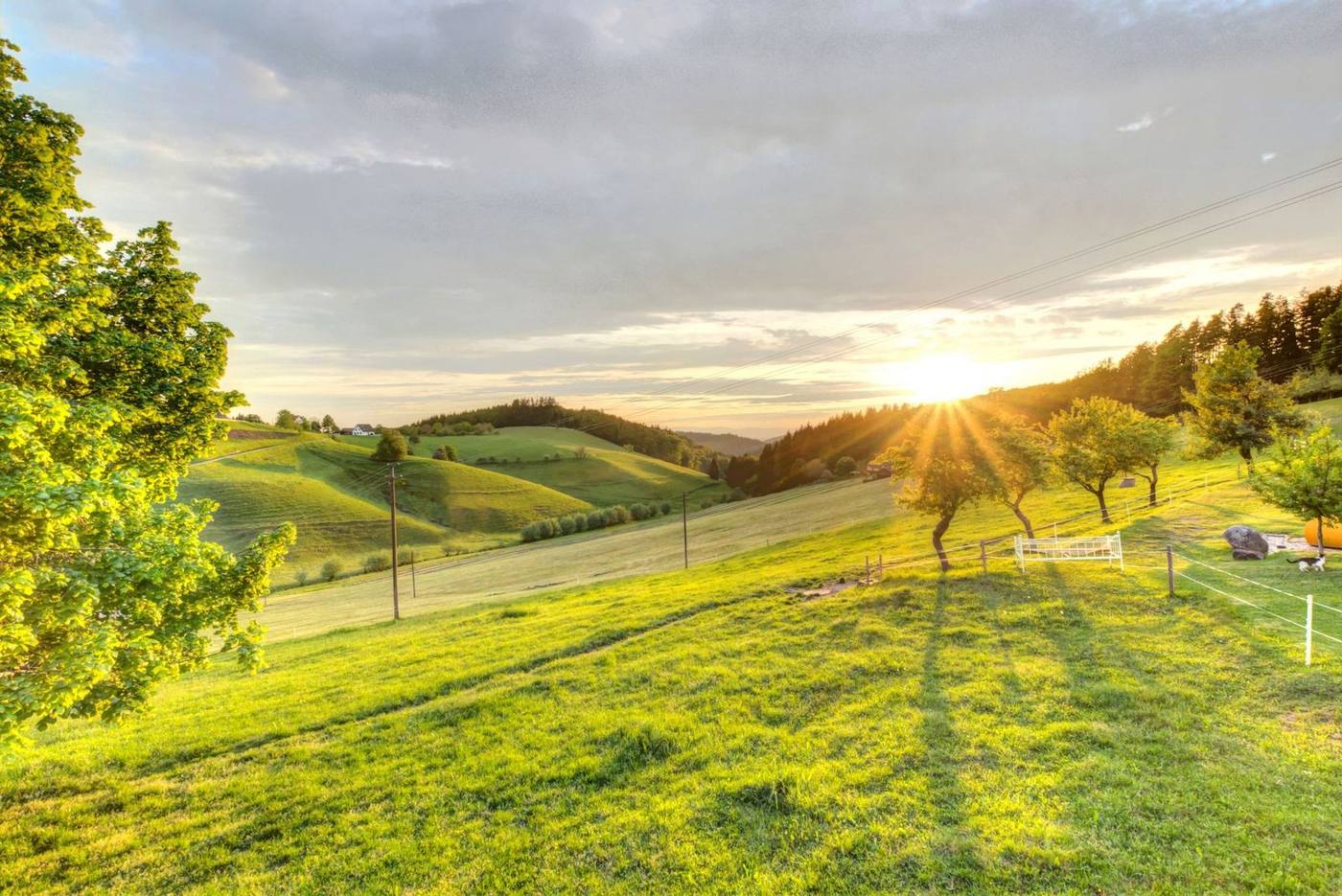 Sonnenuntergang am Naturglamping-Stellplatz des Grub-Daniel-Hofs