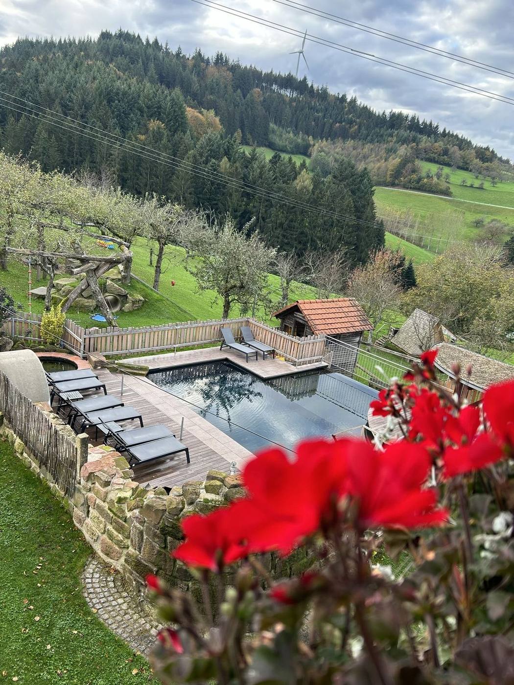 Blick vom Balkon auf Naturpool und Spielplatz am Ferienhaus Rose